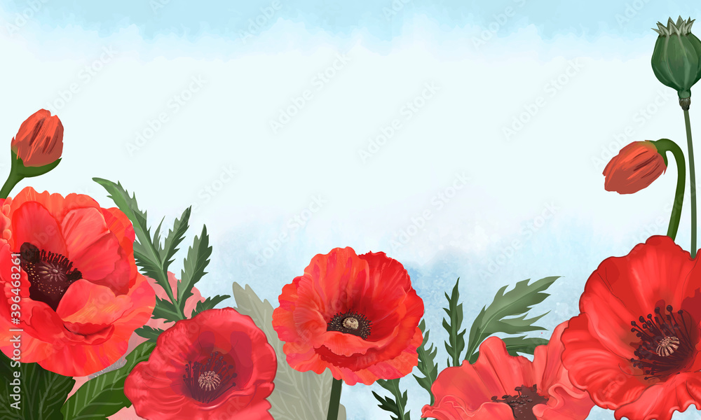 Hand drawn poppies with a blue background