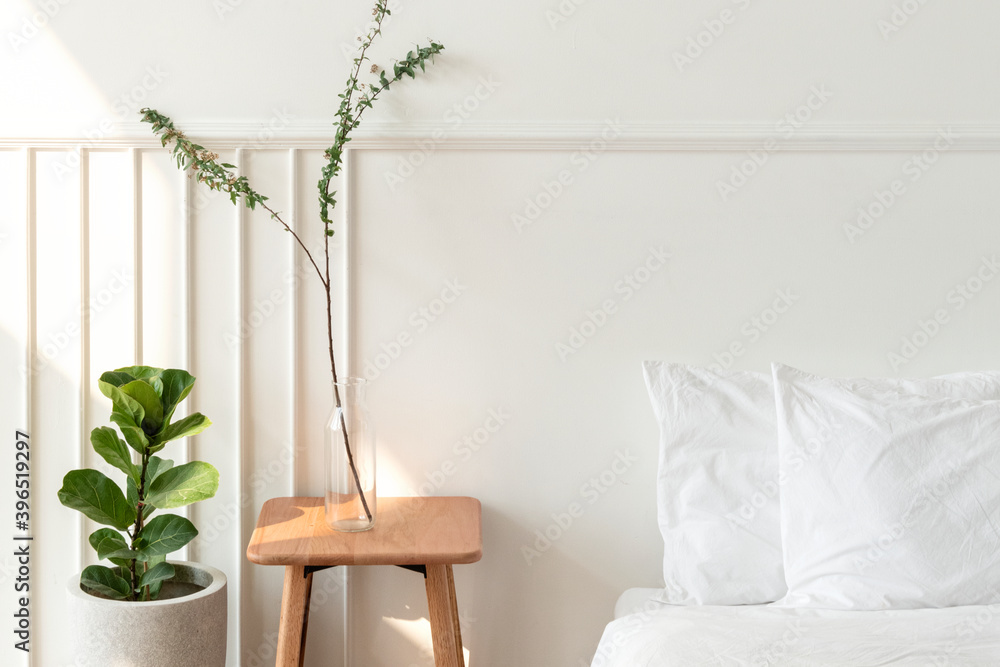 House plants by a mattress on the floor