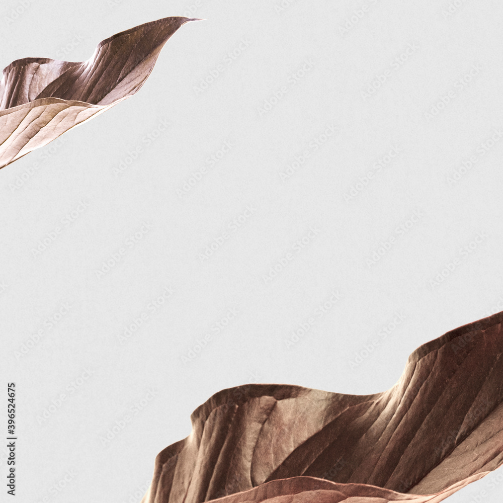 Dried leaf frame botanical background