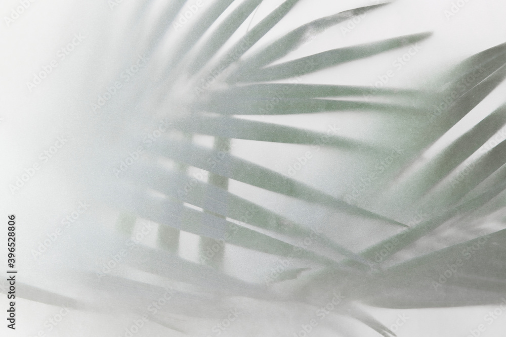 Blurred green palm leaves on off white background