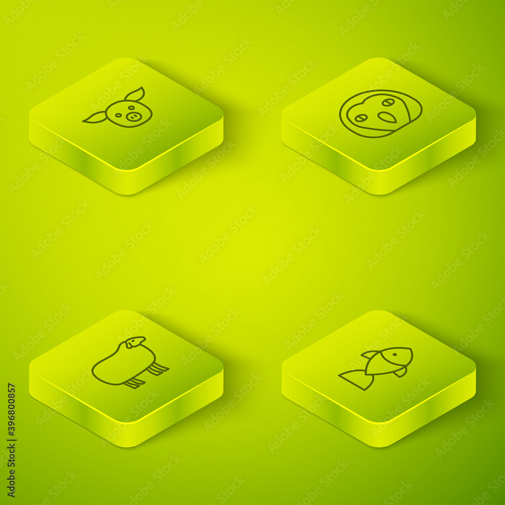 Set Isometric Owl bird, Sheep, Fish and Pig icon. Vector.