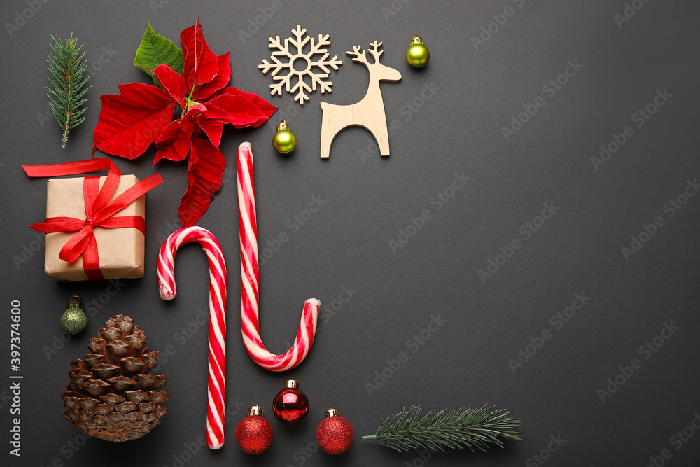 Composition with flowers of Christmas plant poinsettia on dark background