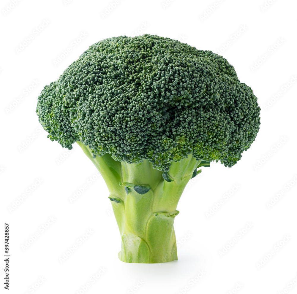 Broccoli placed on a white background