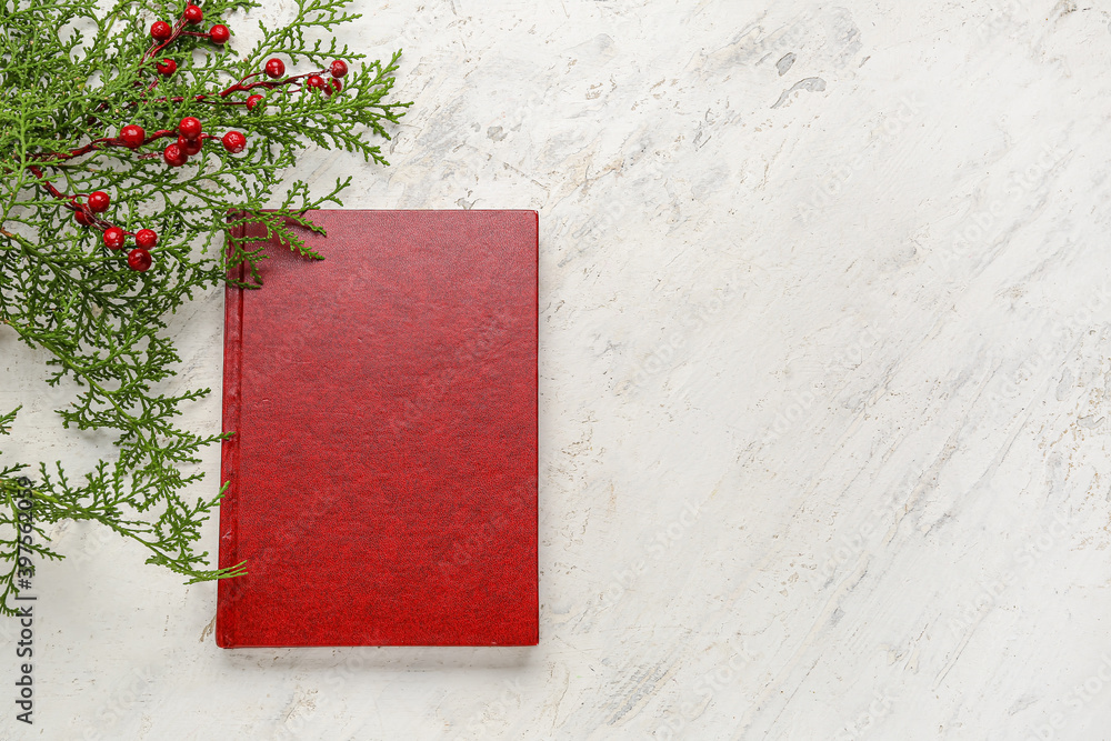 Blank book with Christmas tree branches on white background