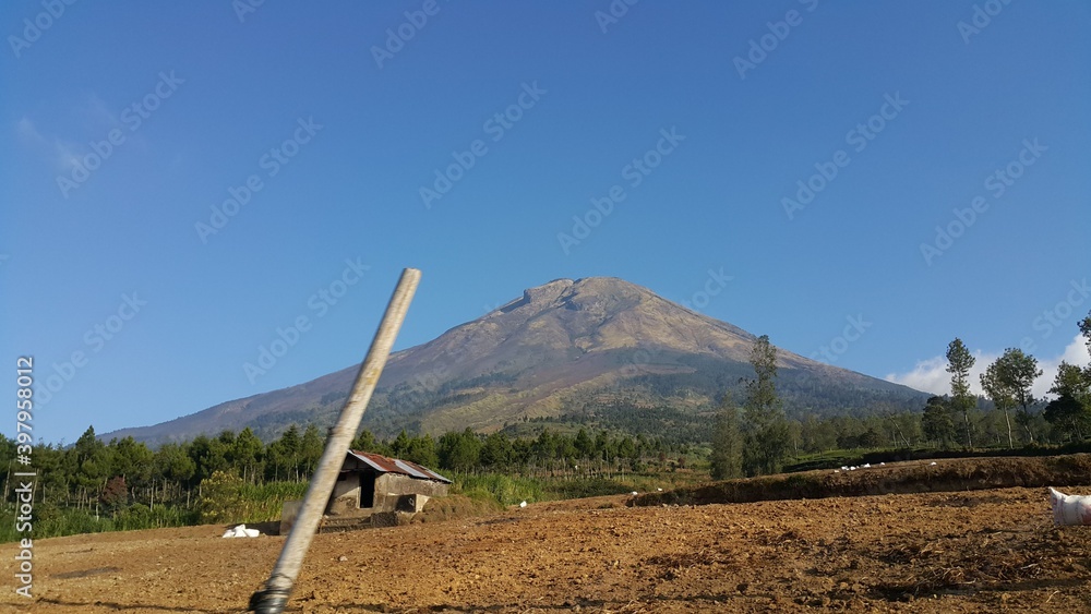 山里的风景