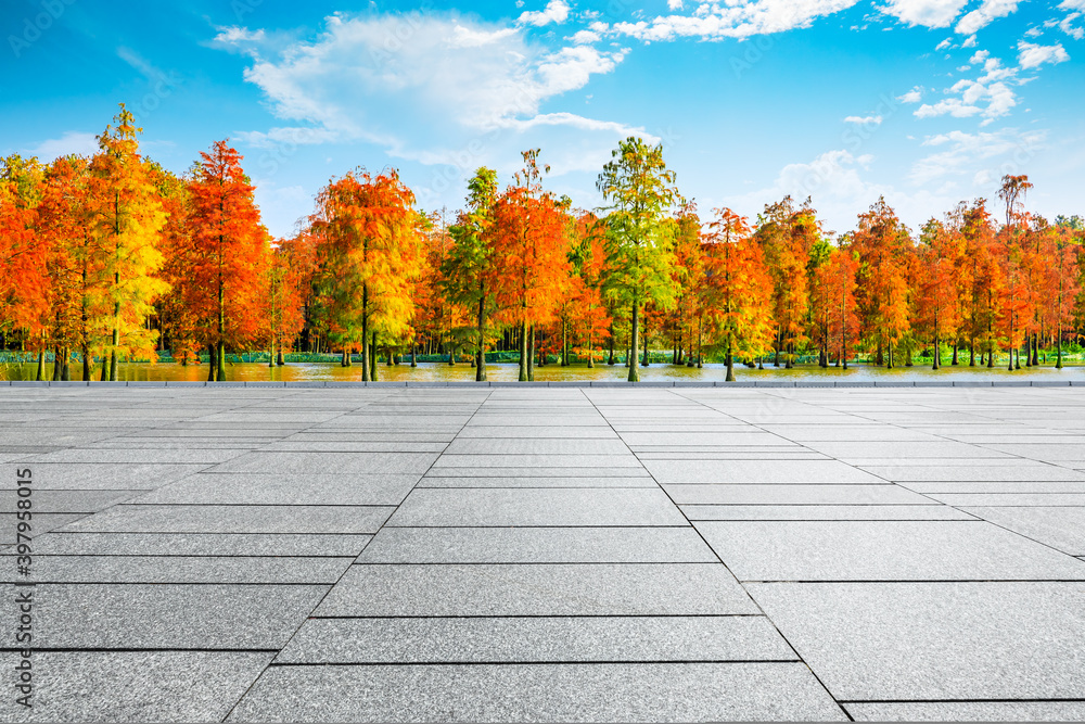 Empty square floor and colorful forest natural landscape in autumn season.