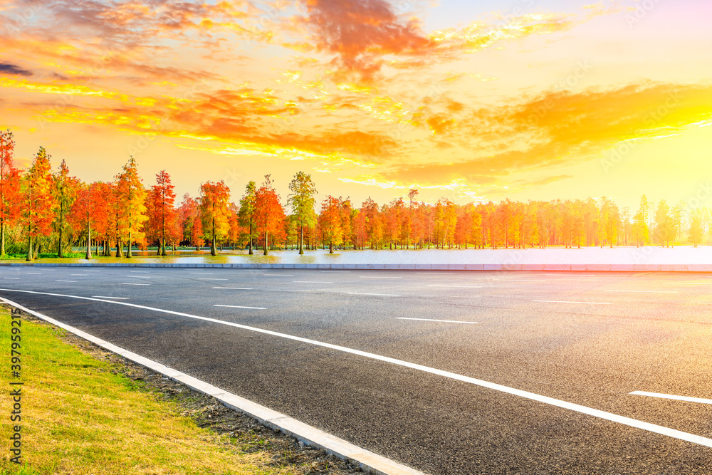 Asphalt road and colorful forest natural landscape in autumn season.