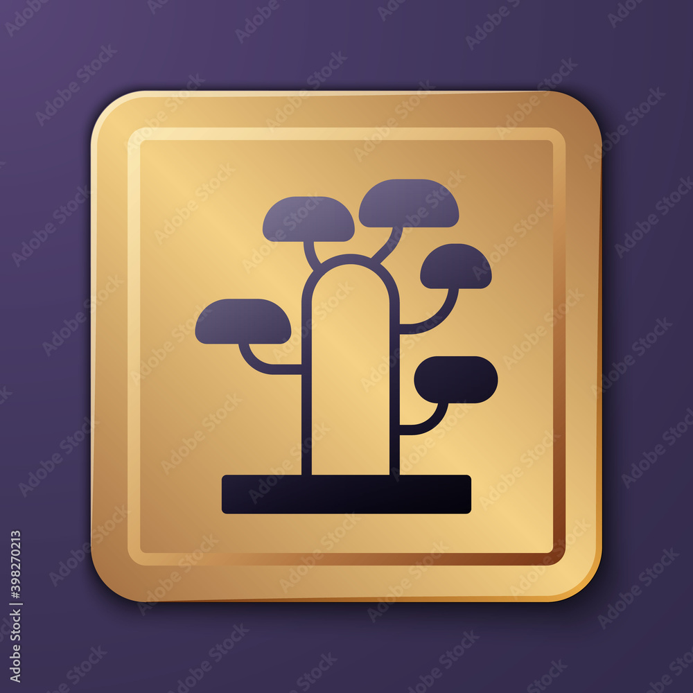 Purple African tree icon isolated on purple background. Baobab, acacia and other. Gold square button