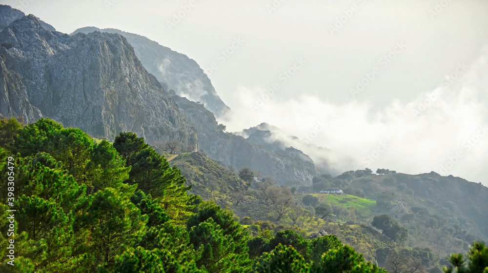 Parque Natural Sierra de Grazalema, provincia de Cádiz, Andalucía, España