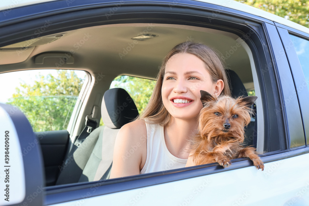 Happy woman with cute dog in modern car