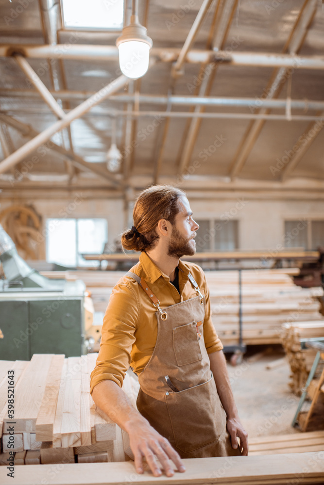 Portrait of a cheerful carpenter