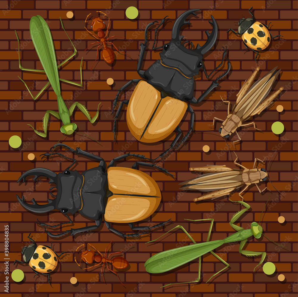 Set of different insects on wooden wallpaper background