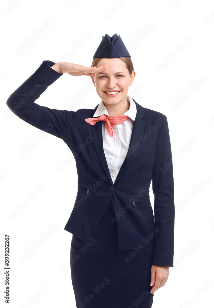 Beautiful stewardess on white background