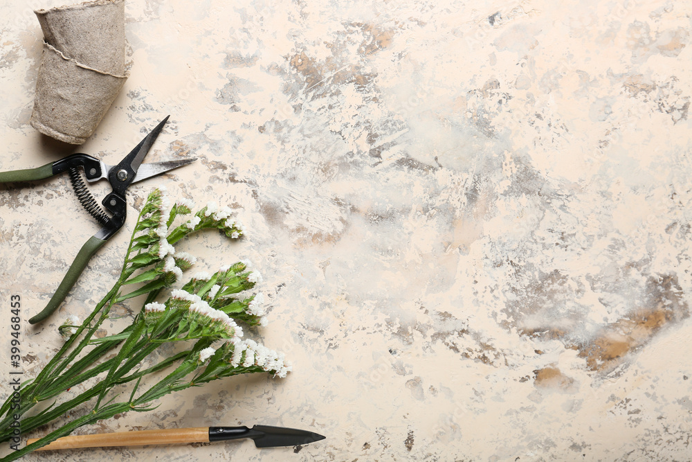 Set of gardening supplies with plant on light background