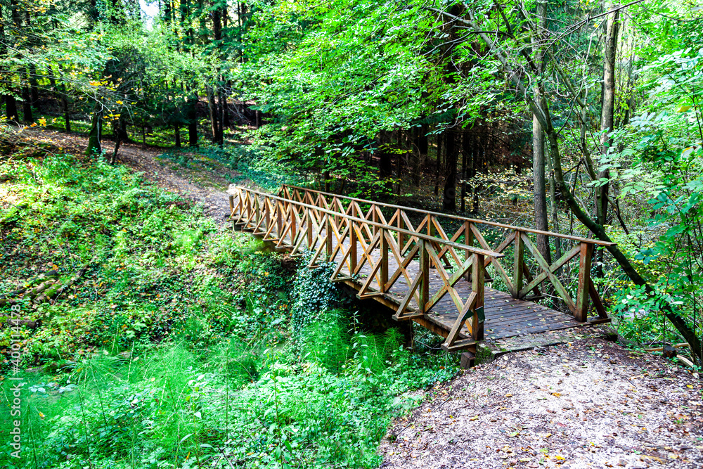 Forestry track with a timber footbridge. 