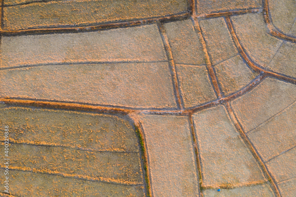 Aerial view of rice field after harvested in nan province, Northern Thailand