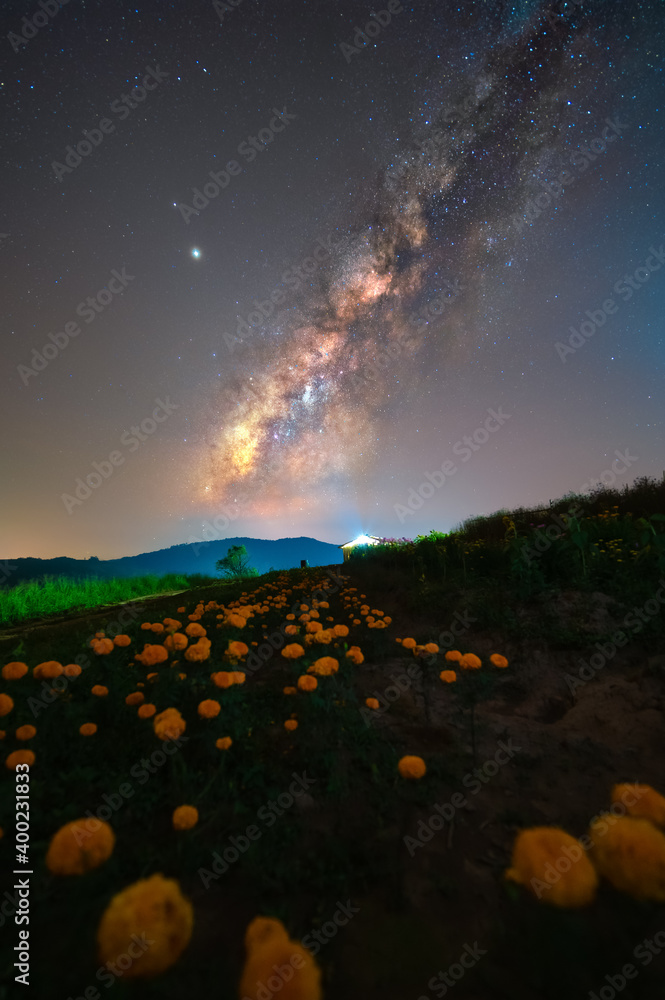 泰国乡村的Milkyway和黄花地