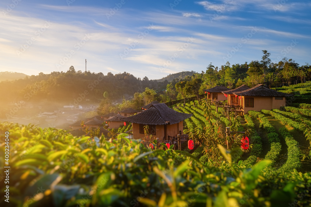 泰国北部湄洪松Ban Rak Thai村梯田茶园的美景