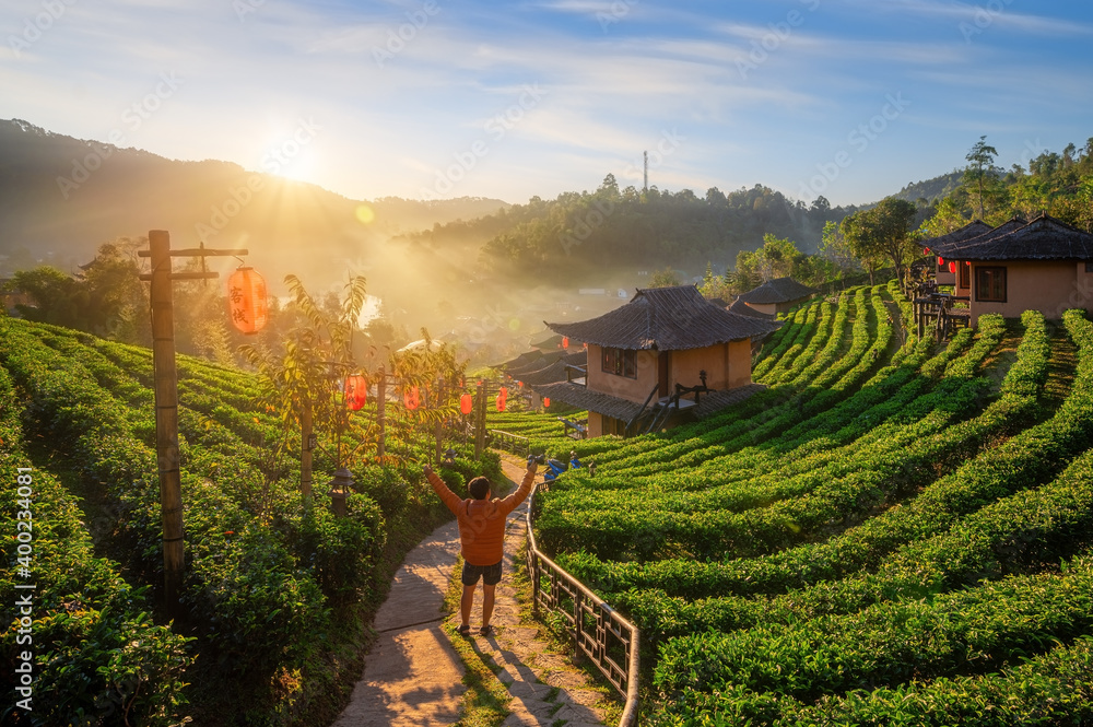 泰国北部梅洪山Ban Rak Thai村露台茶园美景