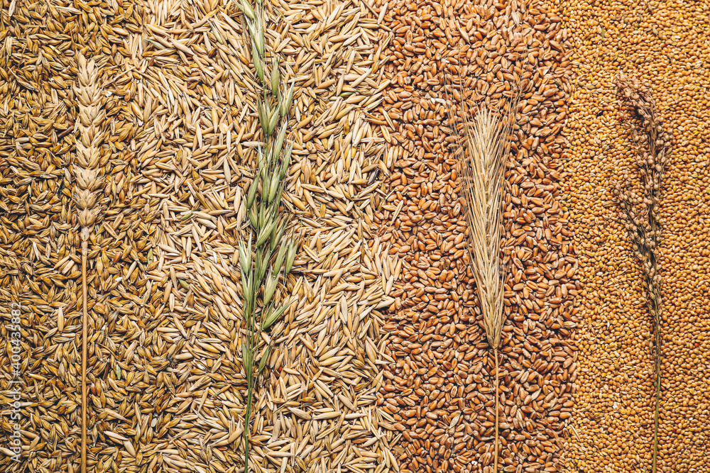 Assortment of dry cereals, closeup