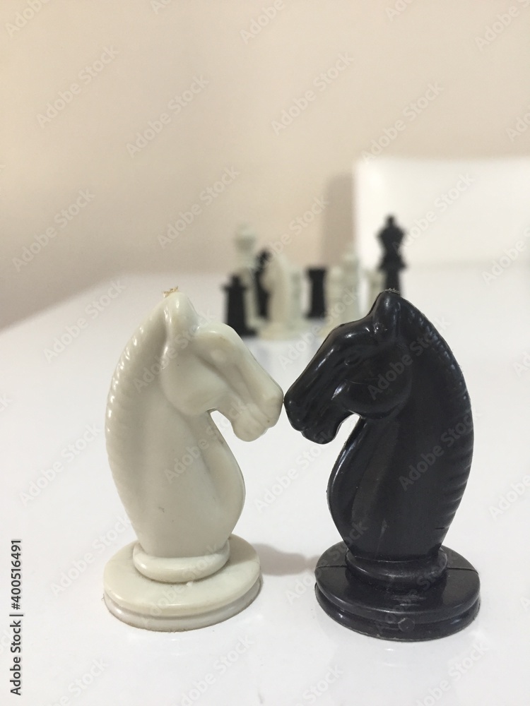 black and white knight of chess pieces