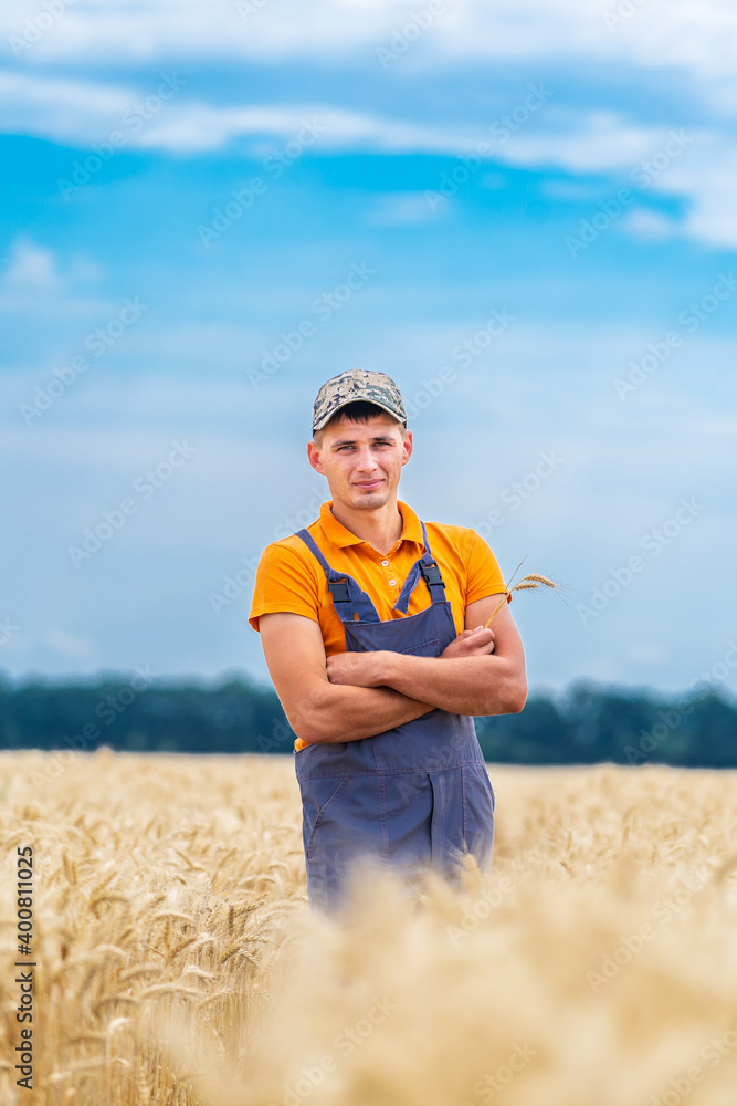 Farmer in wheat field with working combine in the background. Blue sky above.