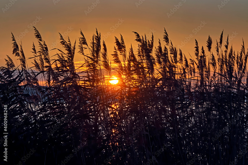 Sonnenaufgang am Markkleeberger见莱比锡。