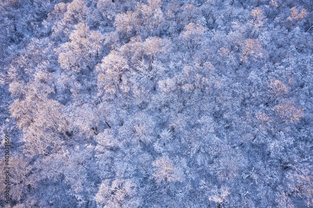 无人机自上而下飞越冰冻的冬季森林。树木被雪和霜覆盖。景观ph