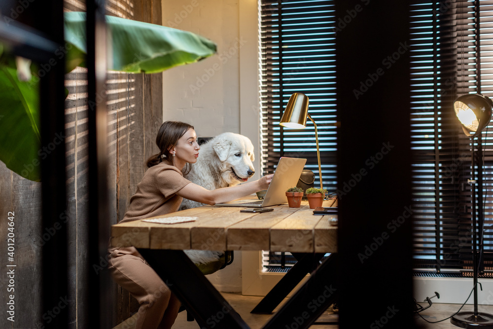 年轻女子带着一只可爱的白狗在现代舒适的家庭办公室里用笔记本电脑工作