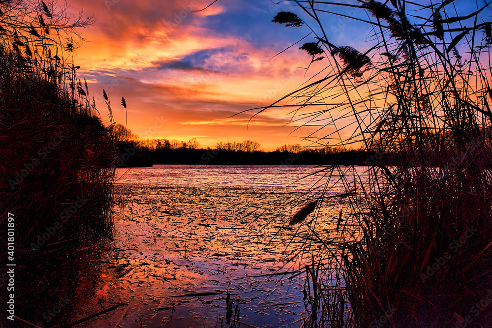 莱比锡北部马克莱贝格Waldsee Lauer的Sonnenaufgang am