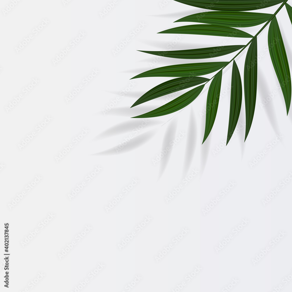 Abstract Realistic Green Palm Leaf Tropical Background. Vector illustration EPS10