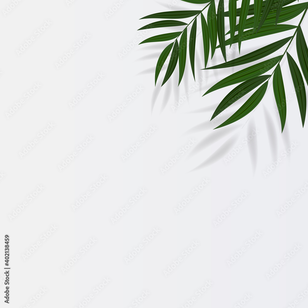 Abstract Realistic Green Palm Leaf Tropical Background. Vector illustration EPS10