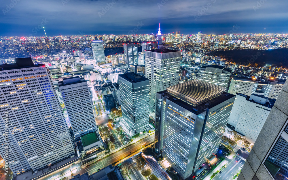 高層ビルが立ち並ぶ新宿の夜景