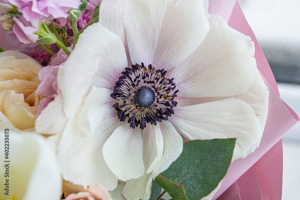 rings on a flower