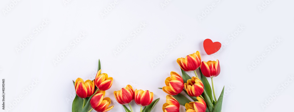 Tulips on white background of copy space, concept of Mothers day.