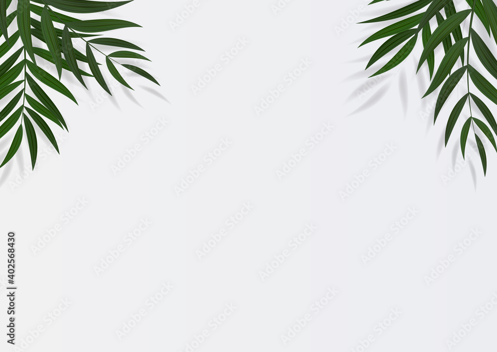 Abstract Realistic Green Palm Leaf Tropical Background. Vector illustration EPS10