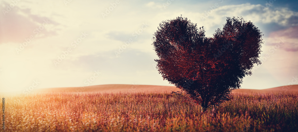 Heart shaped tree with red leaves on field. Concepts of love, Valentines day.