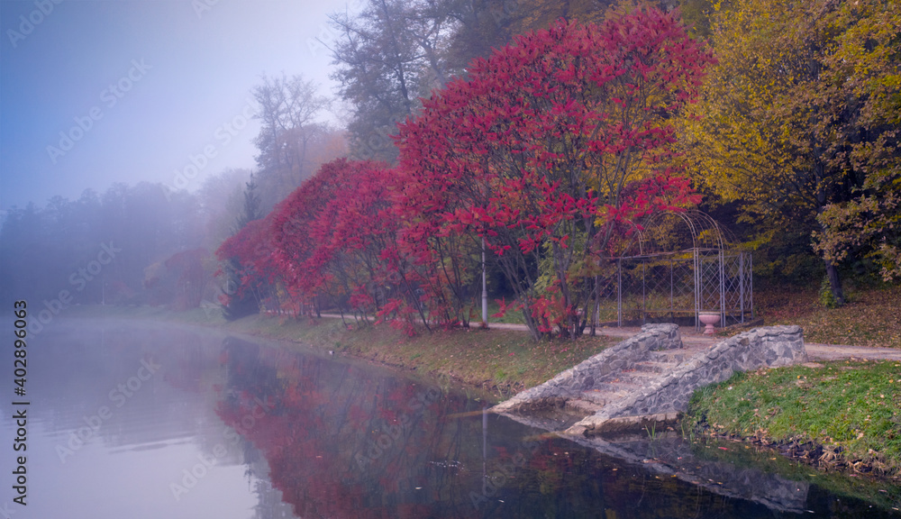 Lake in the autumn park. The forest is reflected in the water.