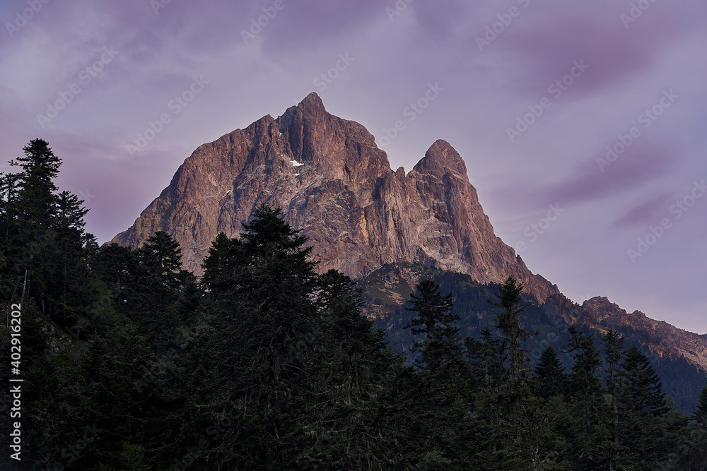 Pyrenees