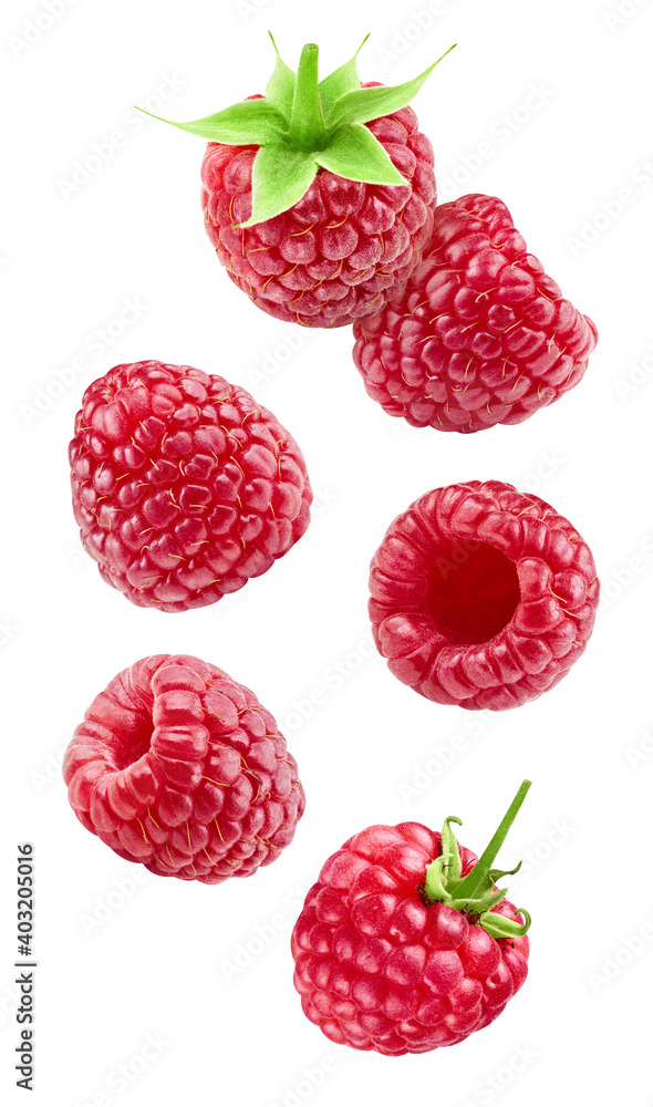 Flying ripe raspberries isolated on white background