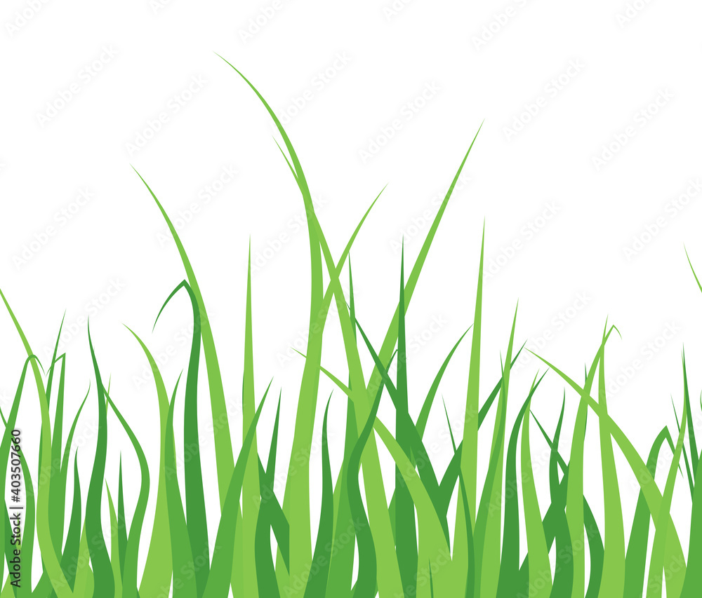 Green grass on white background. Seamless horizontal pattern. vector Illustration EPS10