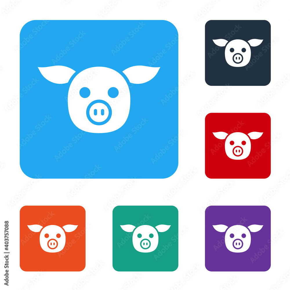 White Pig icon isolated on white background. Animal symbol. Set icons in color square buttons. Vecto