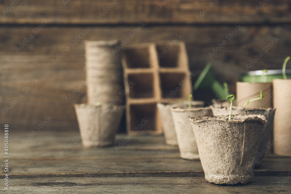 在木桌上的泥炭盆中种植幼苗