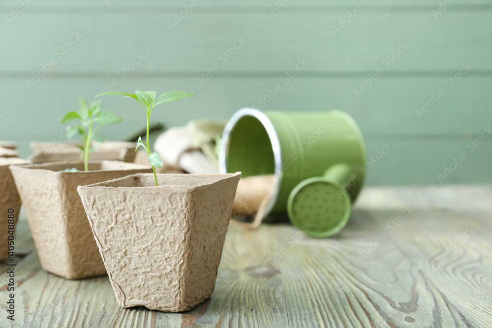 在木桌上的泥炭盆中种植幼苗