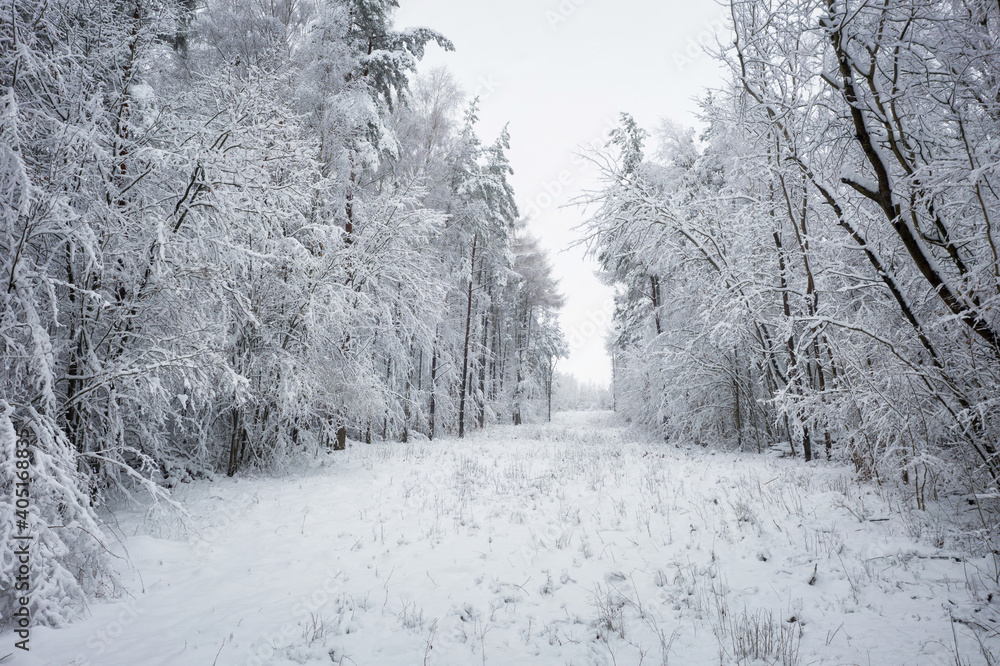 Aerial view of the road in idyllic winter landscape. Poland