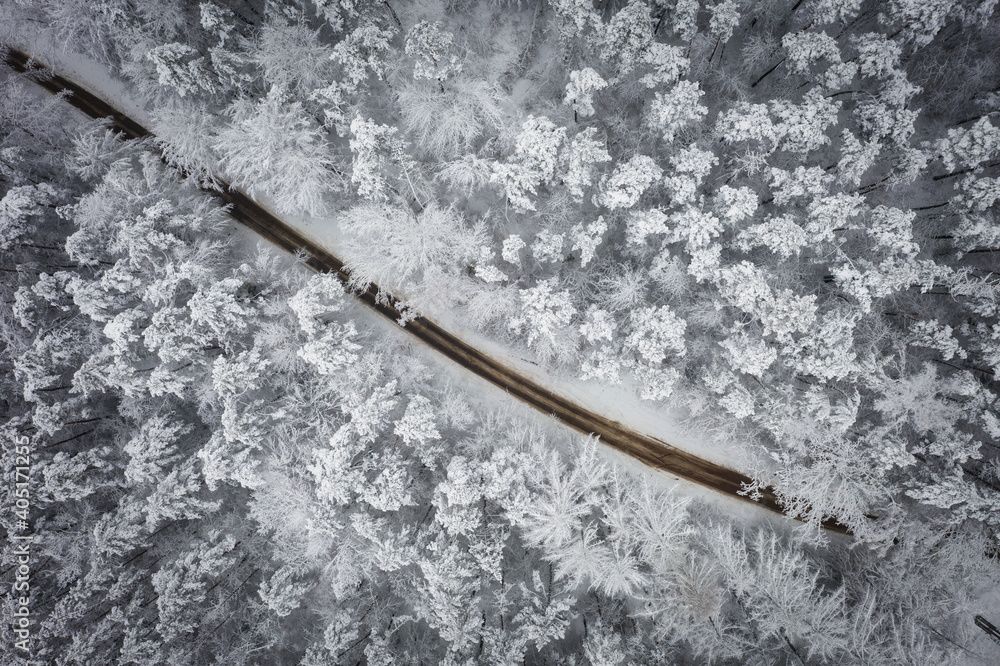 空中冬季景观与雪林。波兰