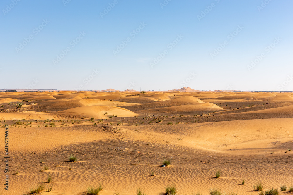 Simple desert landscape with golden sand dunes, crystal blue sky, copy space.