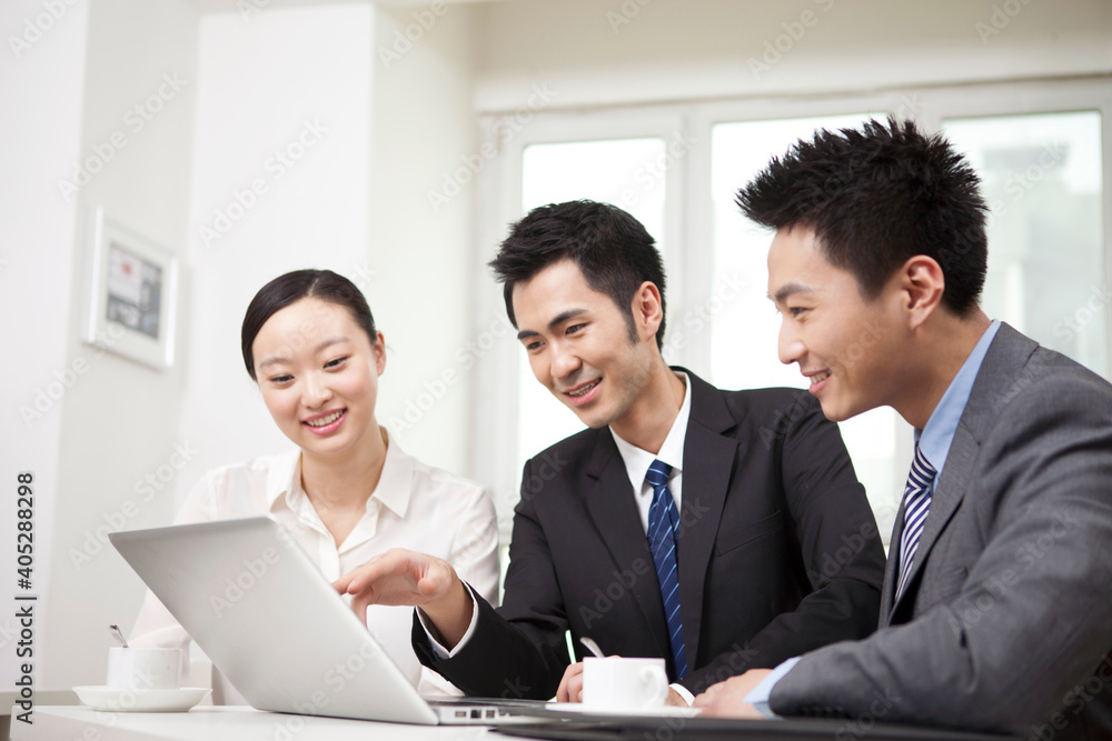 Group of businesspeople discussing working on computer