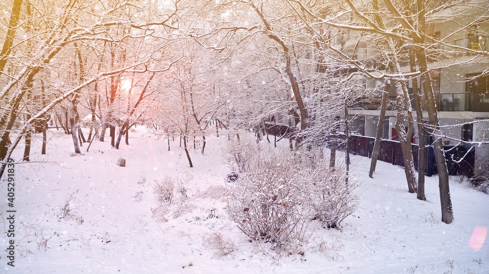 白雪覆盖的公园