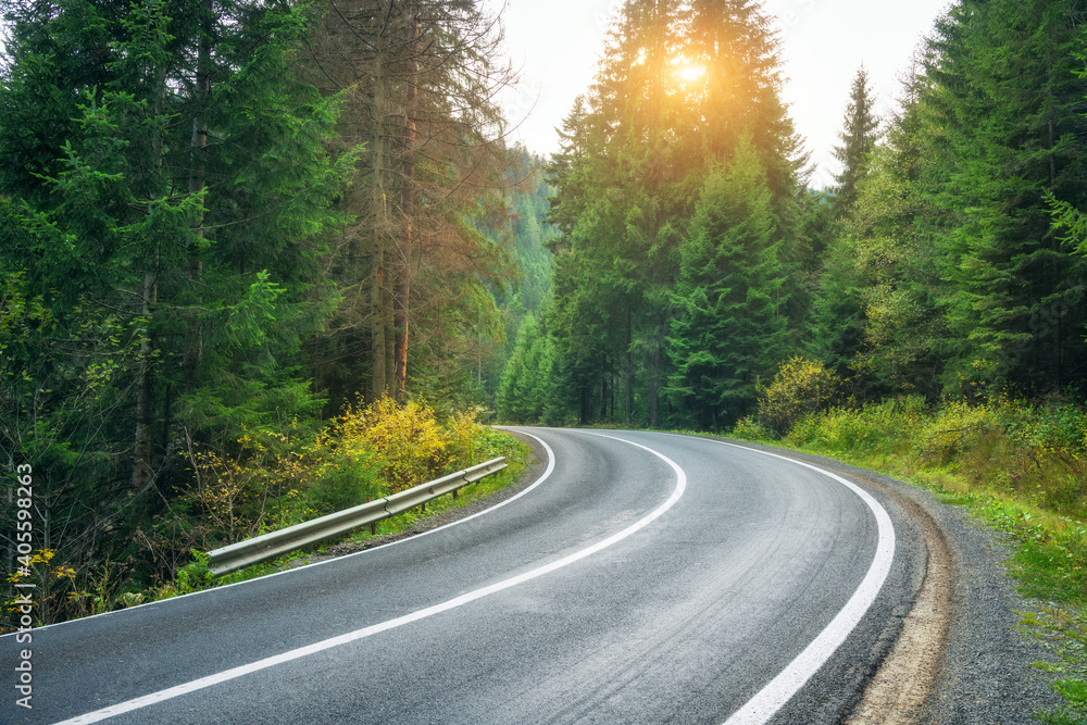 春天日落时森林中的道路。美丽的山路，绿色和橙色树叶的树木。